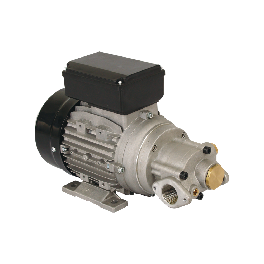 Electric High Flow Gear Oil Pump Product image