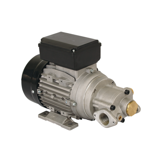  Electric High Flow Gear Oil Pump Product image